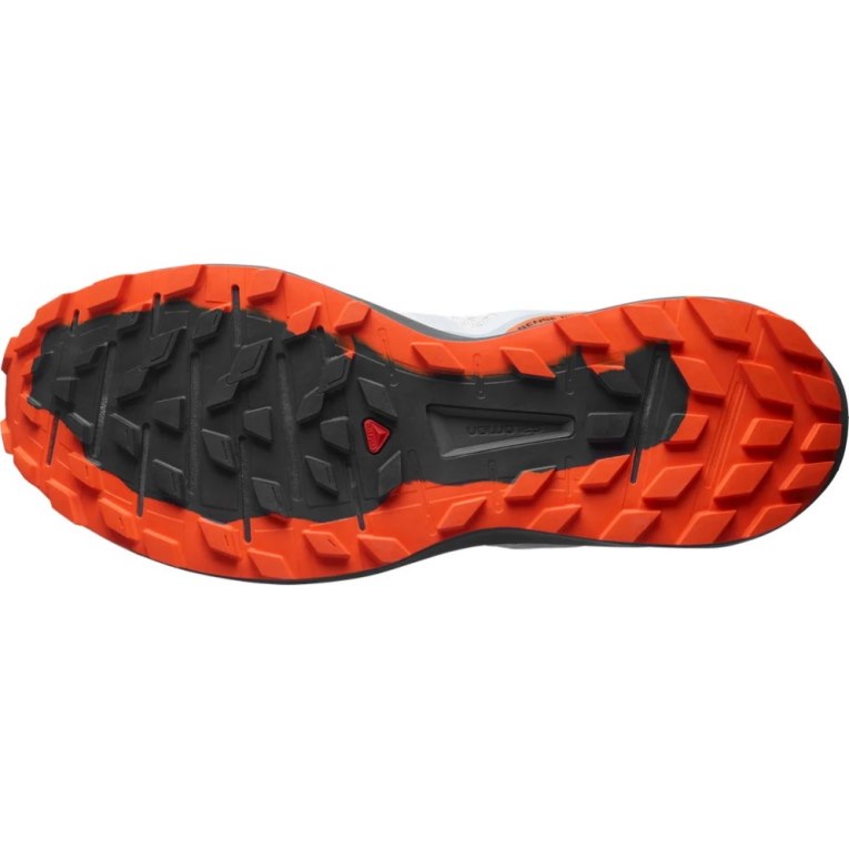 Tenis Para Trail Running Salomon Sense Ride 4 Hombre Grises | MX AIHT082